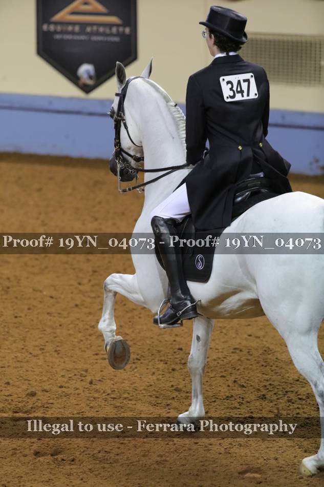 Proof 19YN_04073
