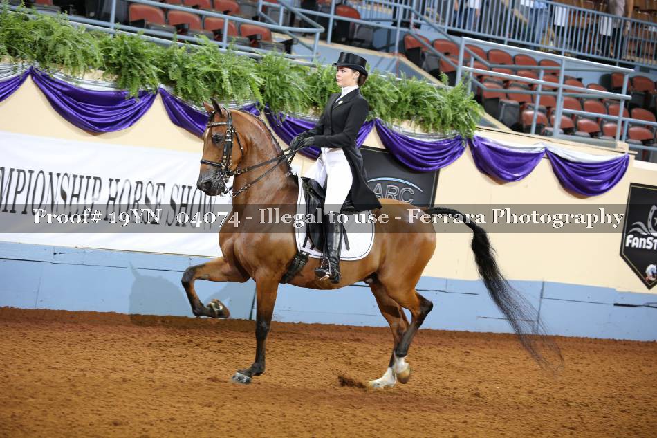 Proof 19YN_04074
