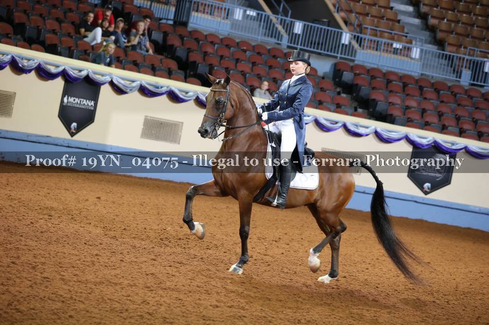 Proof 19YN_04075