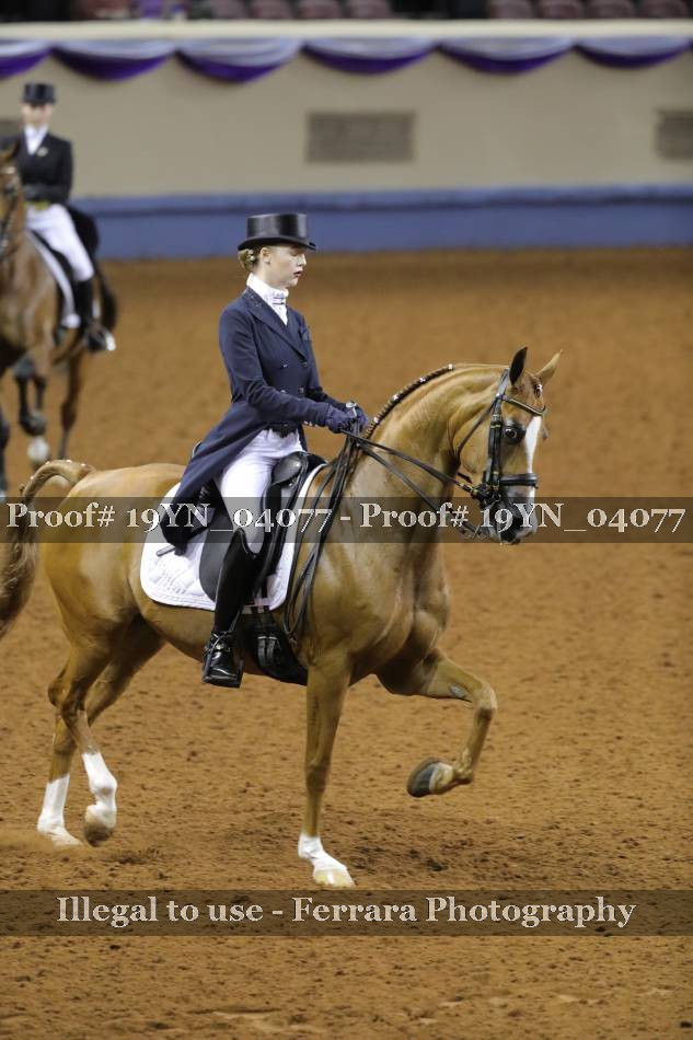 Proof 19YN_04077