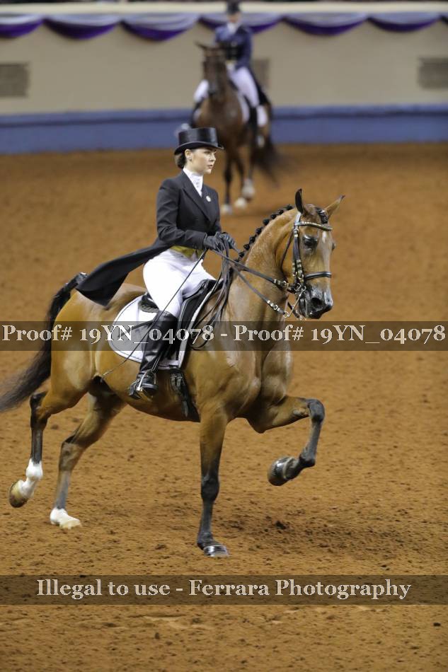 Proof 19YN_04078