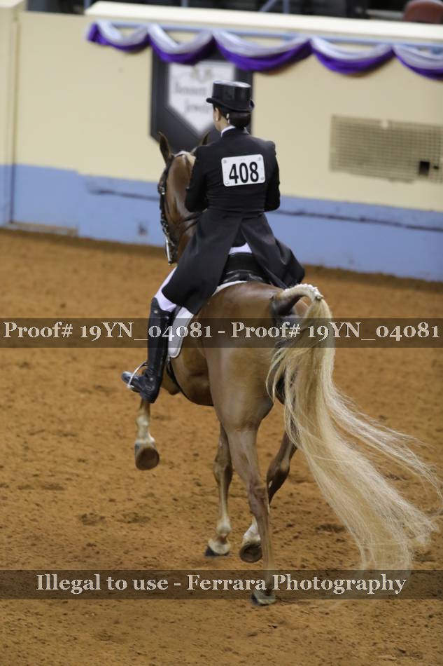 Proof 19YN_04081