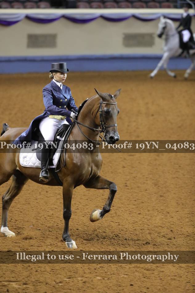Proof 19YN_04083