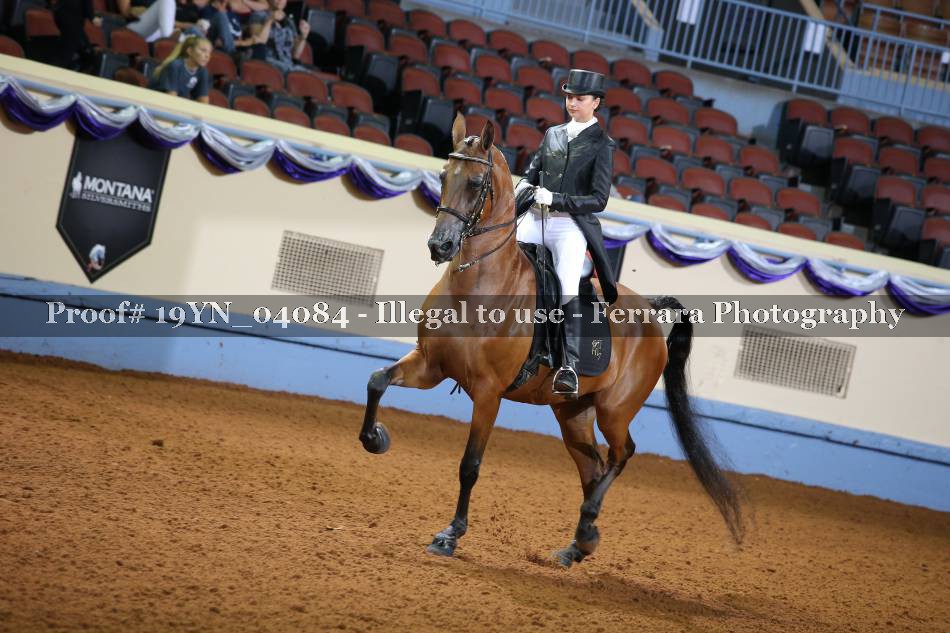Proof 19YN_04084