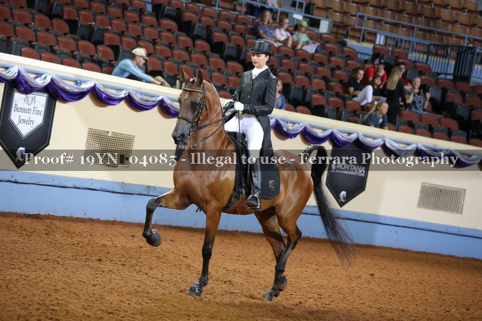 Proof 19YN_04085
