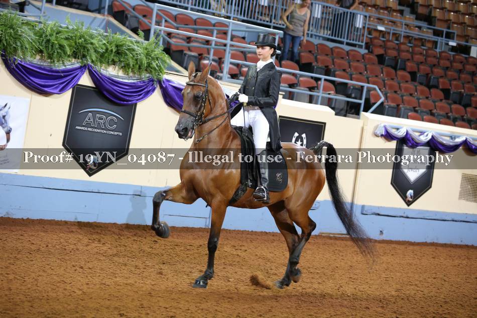 Proof 19YN_04087
