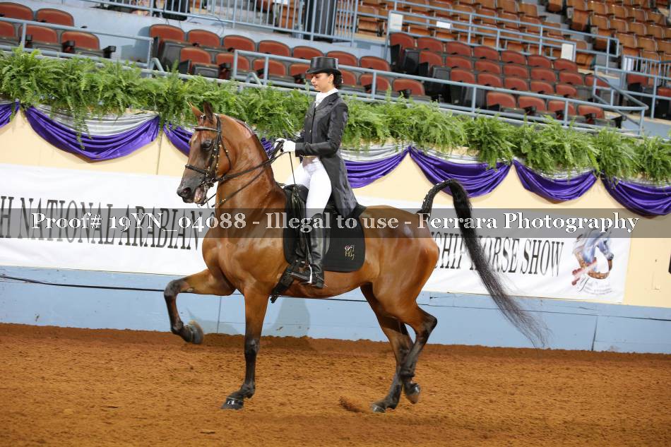 Proof 19YN_04088