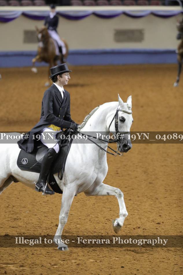 Proof 19YN_04089