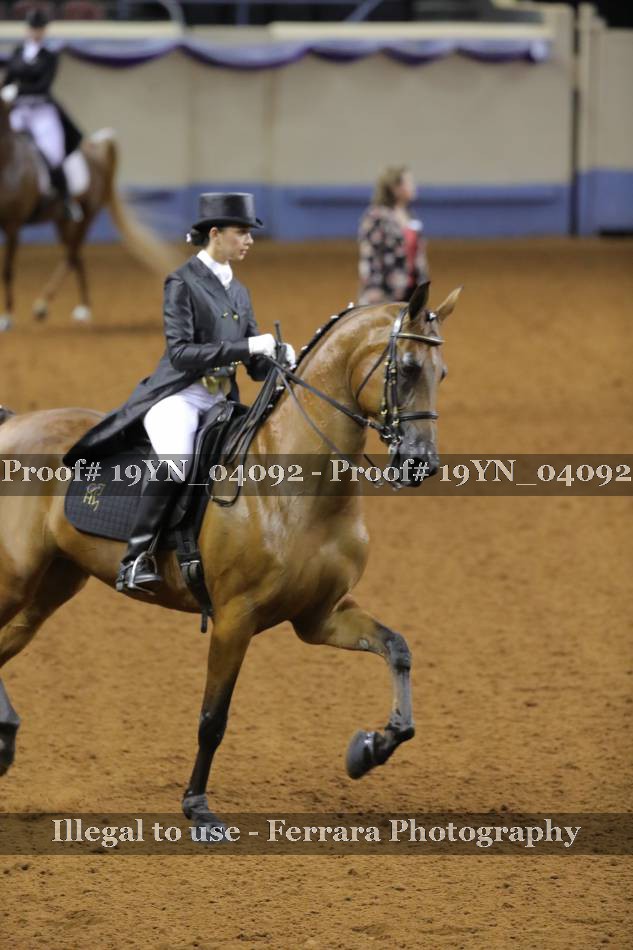 Proof 19YN_04092