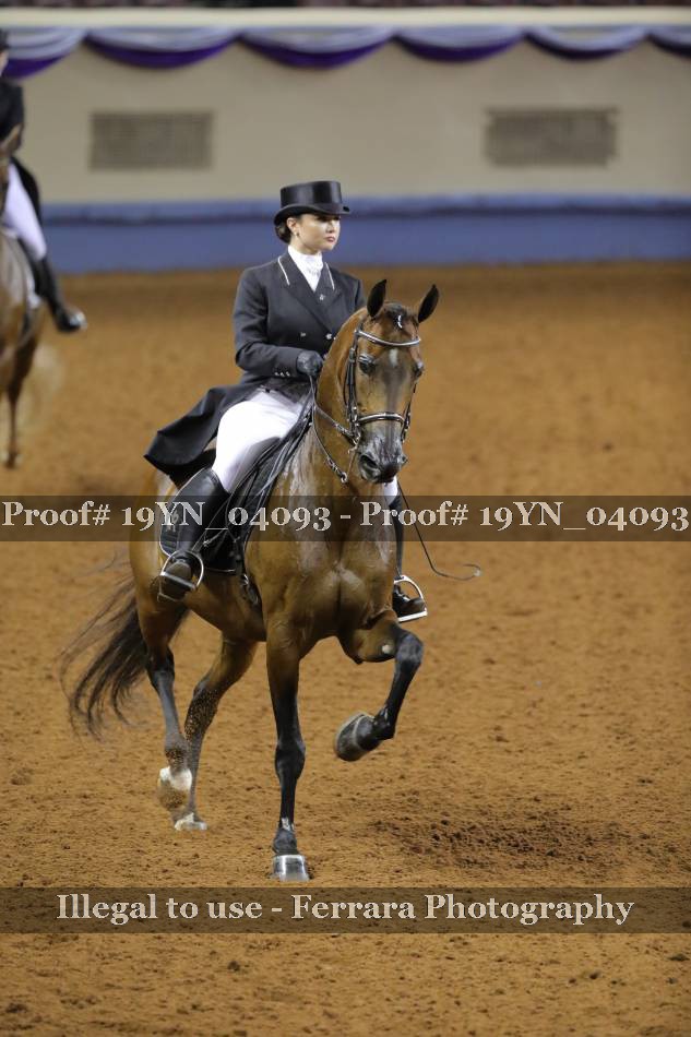 Proof 19YN_04093
