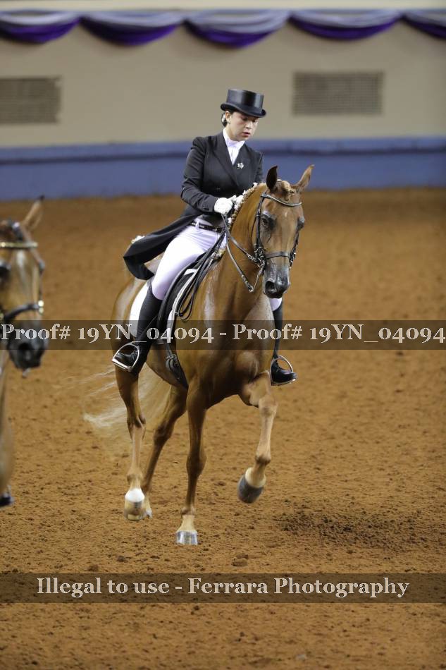 Proof 19YN_04094