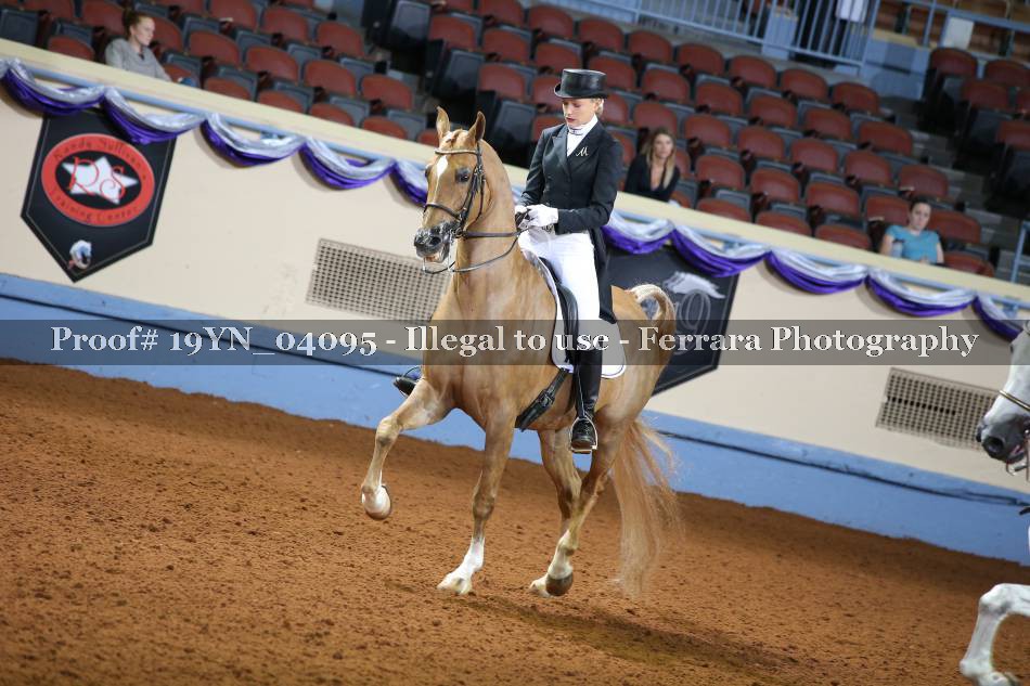 Proof 19YN_04095