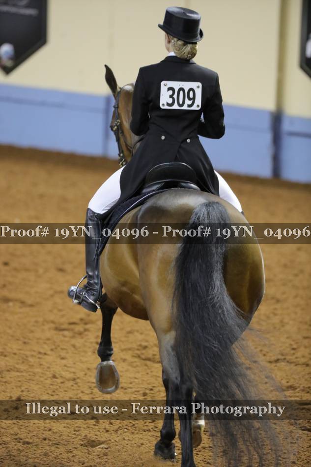 Proof 19YN_04096