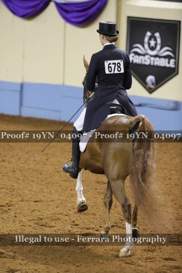 Proof 19YN_04097