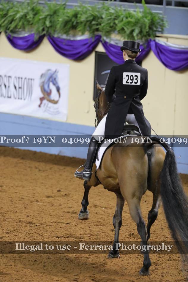 Proof 19YN_04099