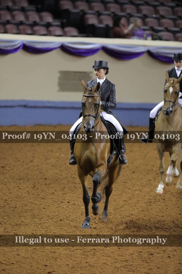 Proof 19YN_04103