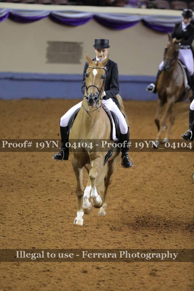 Proof 19YN_04104