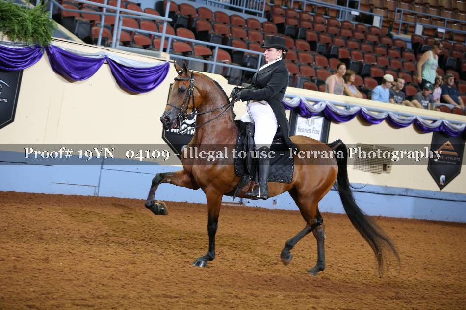Proof 19YN_04109