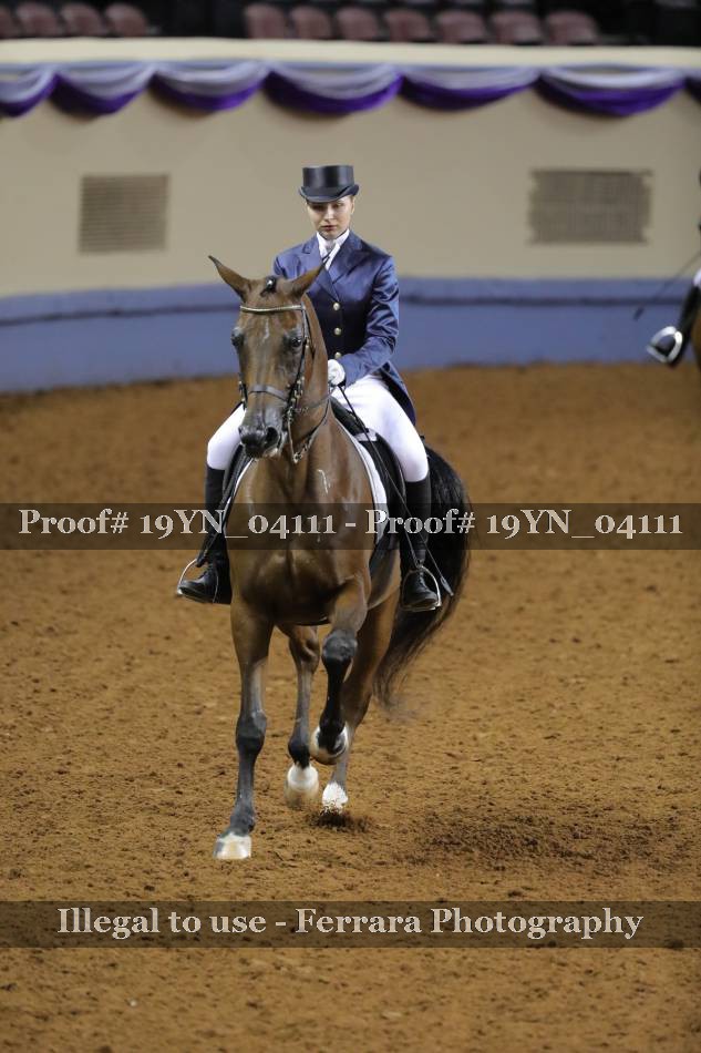 Proof 19YN_04111