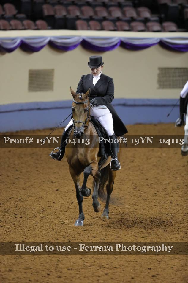 Proof 19YN_04113