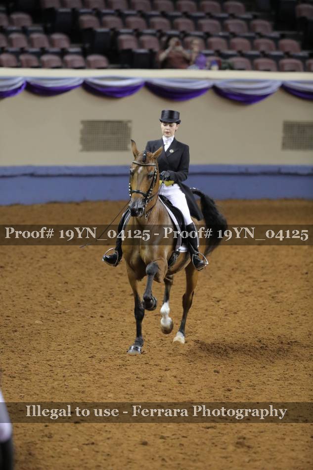 Proof 19YN_04125