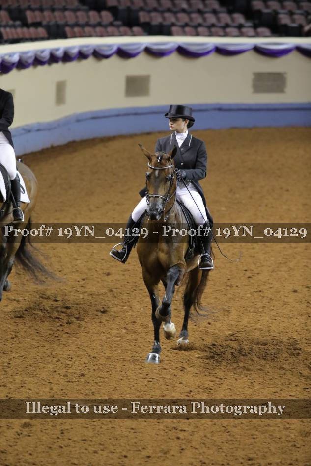 Proof 19YN_04129