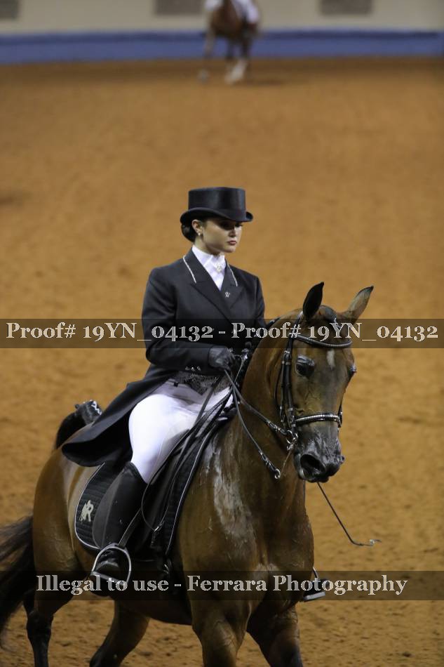 Proof 19YN_04132