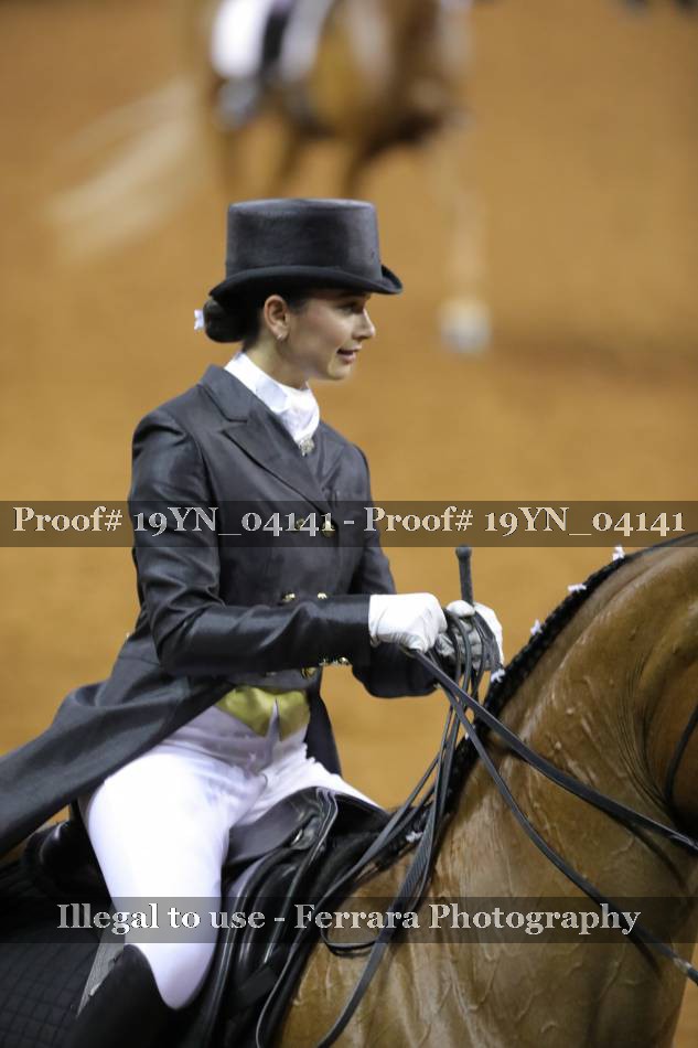 Proof 19YN_04141