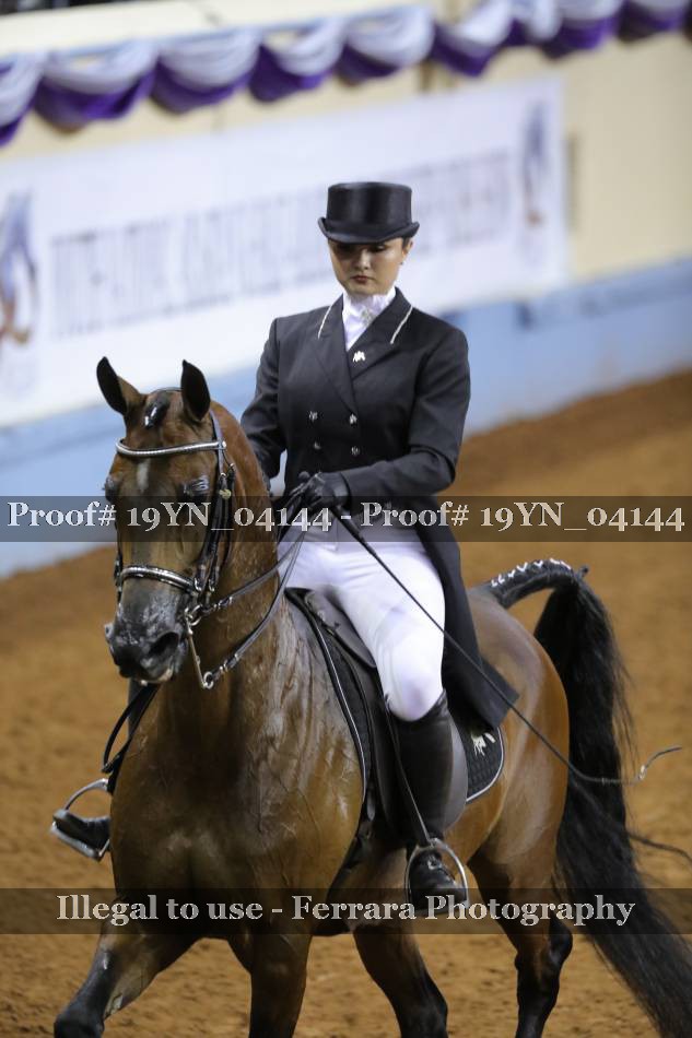 Proof 19YN_04144