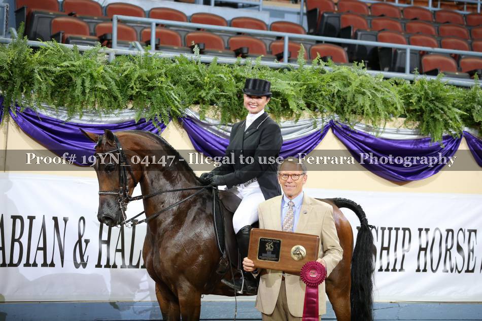 Proof 19YN_04147