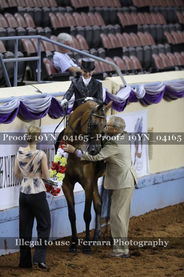 Proof 19YN_04165