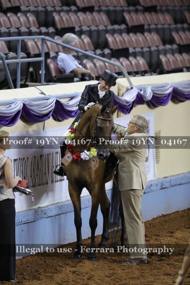 Proof 19YN_04167
