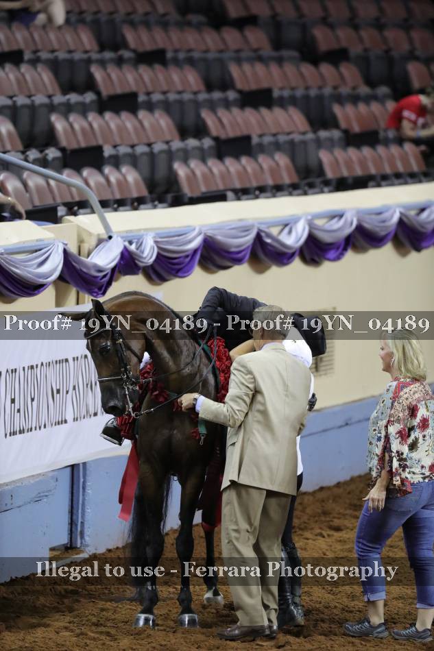 Proof 19YN_04189