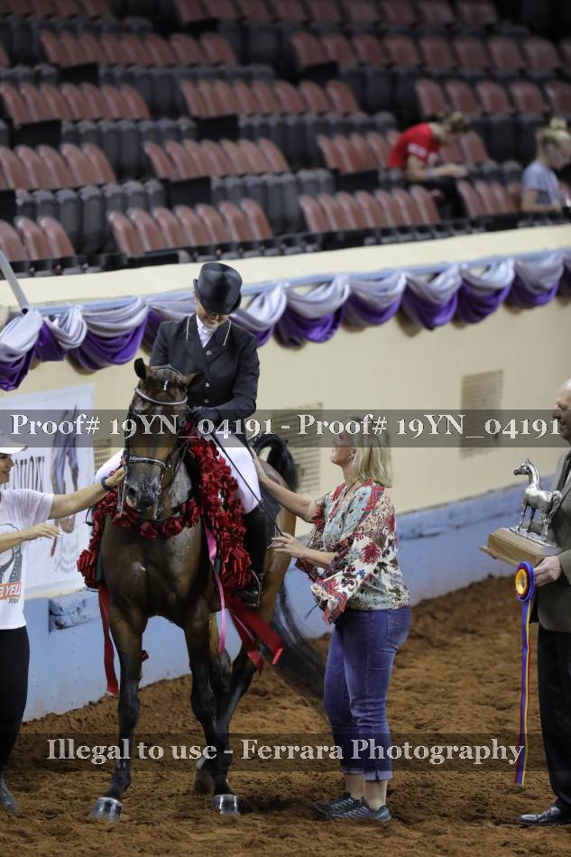 Proof 19YN_04191