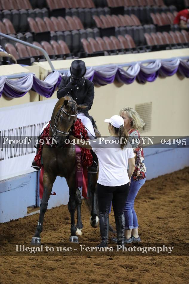 Proof 19YN_04195