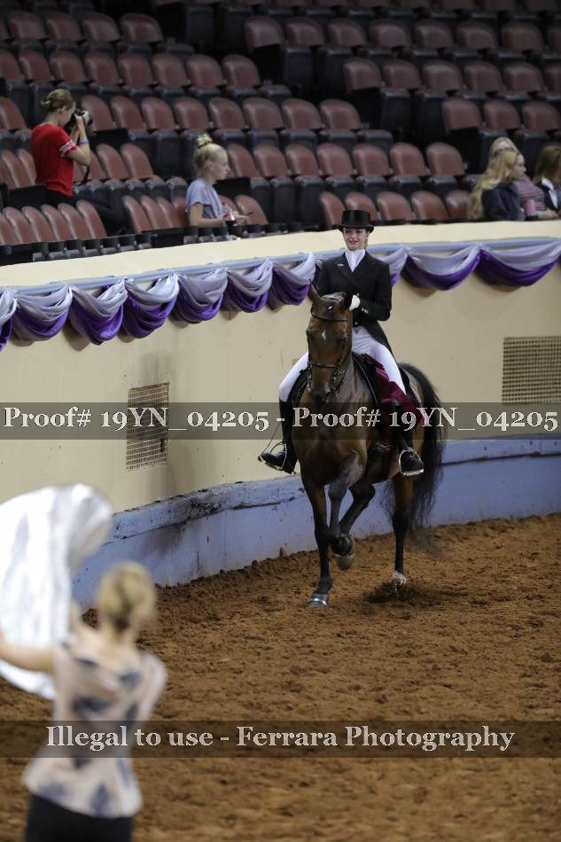 Proof 19YN_04205