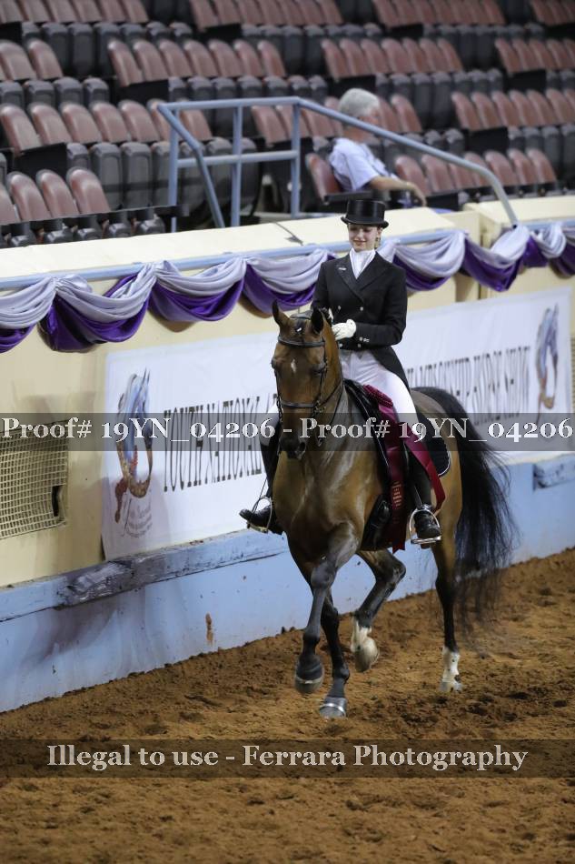 Proof 19YN_04206