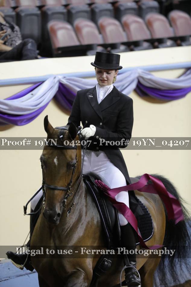 Proof 19YN_04207