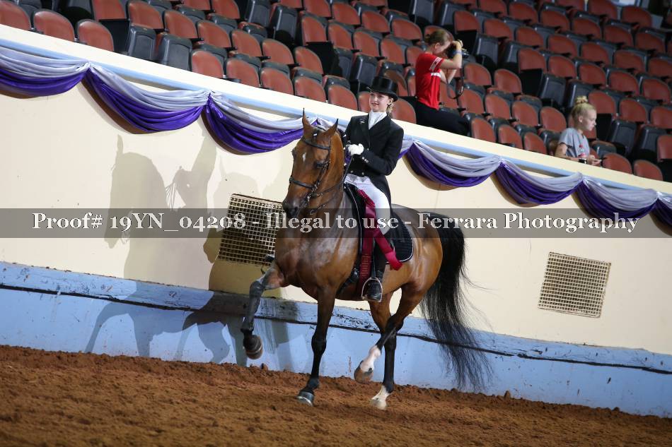 Proof 19YN_04208