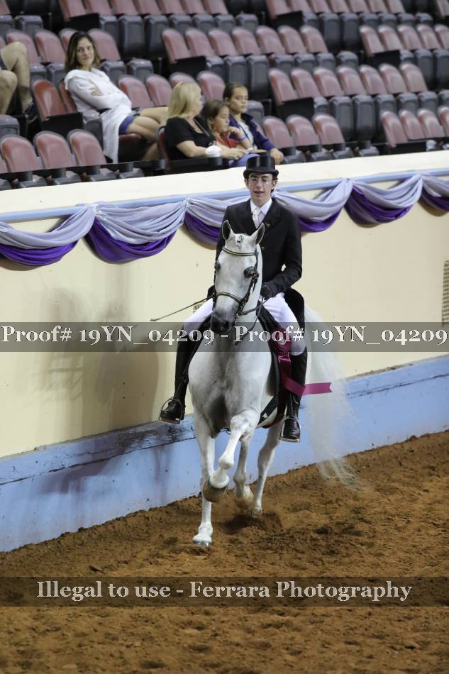 Proof 19YN_04209