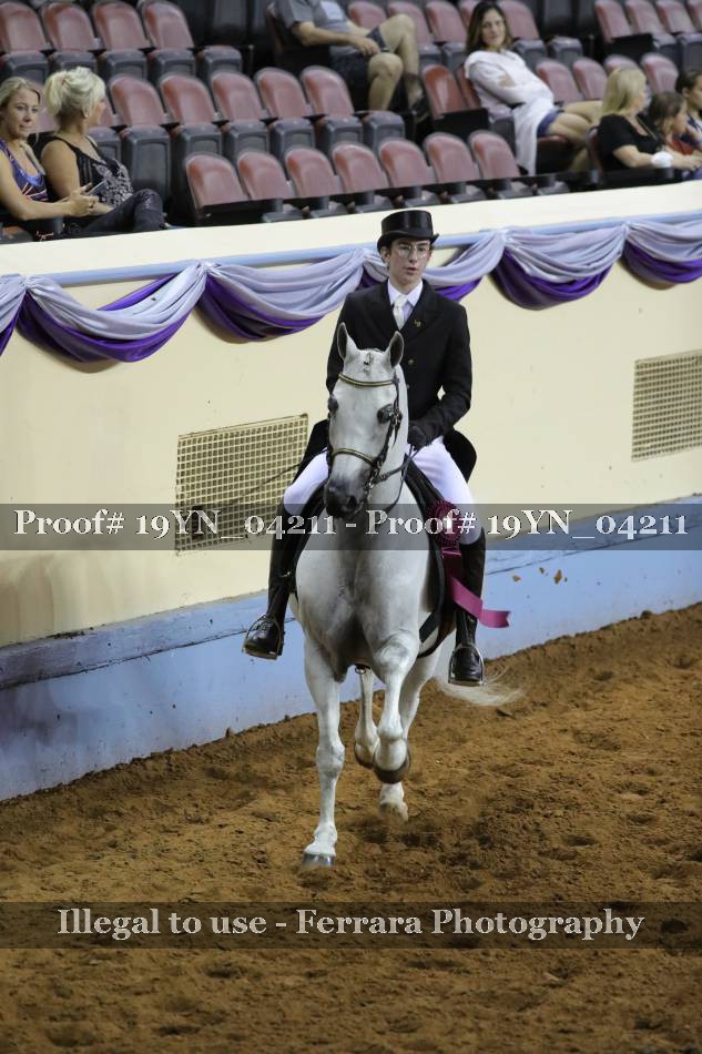 Proof 19YN_04211