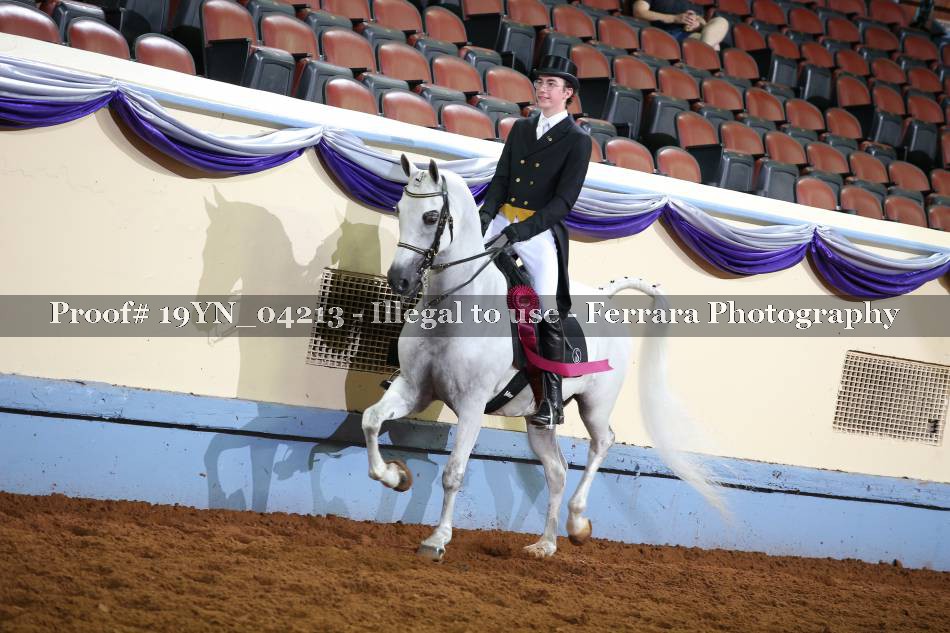 Proof 19YN_04213