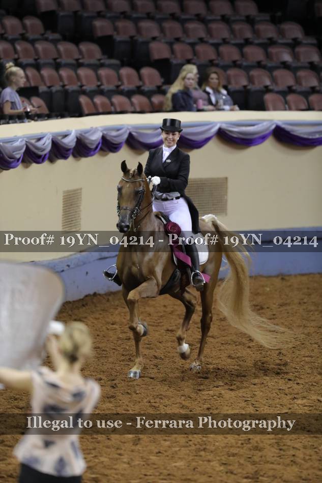 Proof 19YN_04214