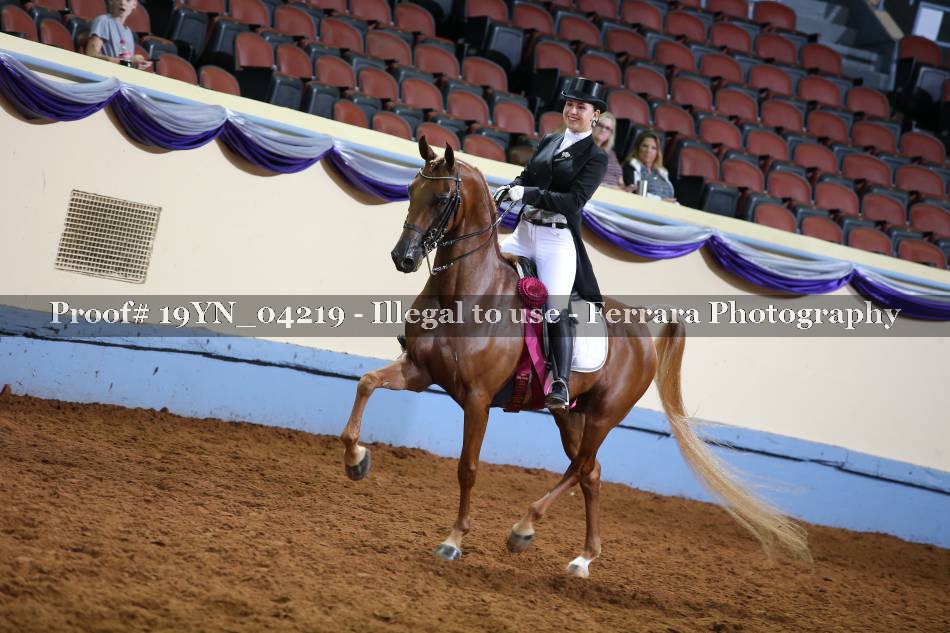 Proof 19YN_04219