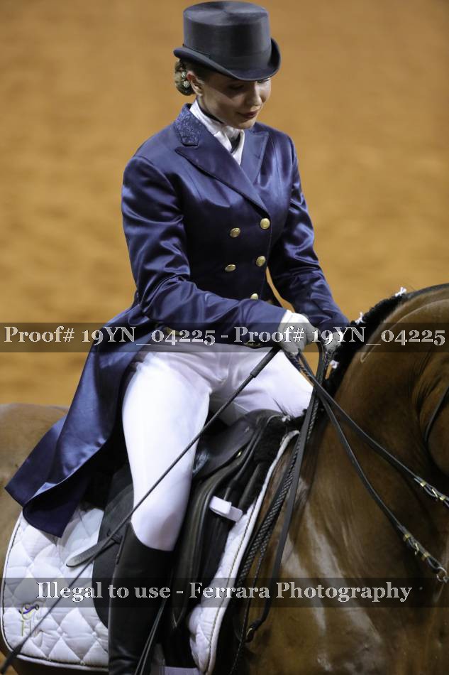 Proof 19YN_04225