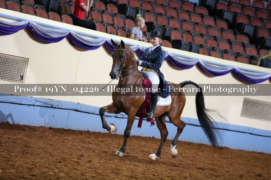 Proof 19YN_04226