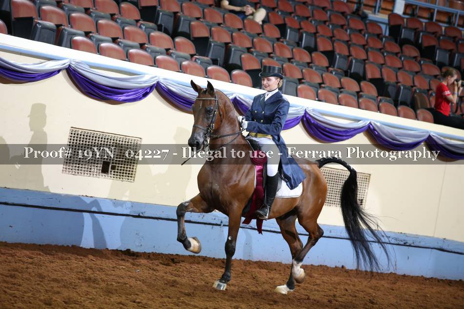 Proof 19YN_04227