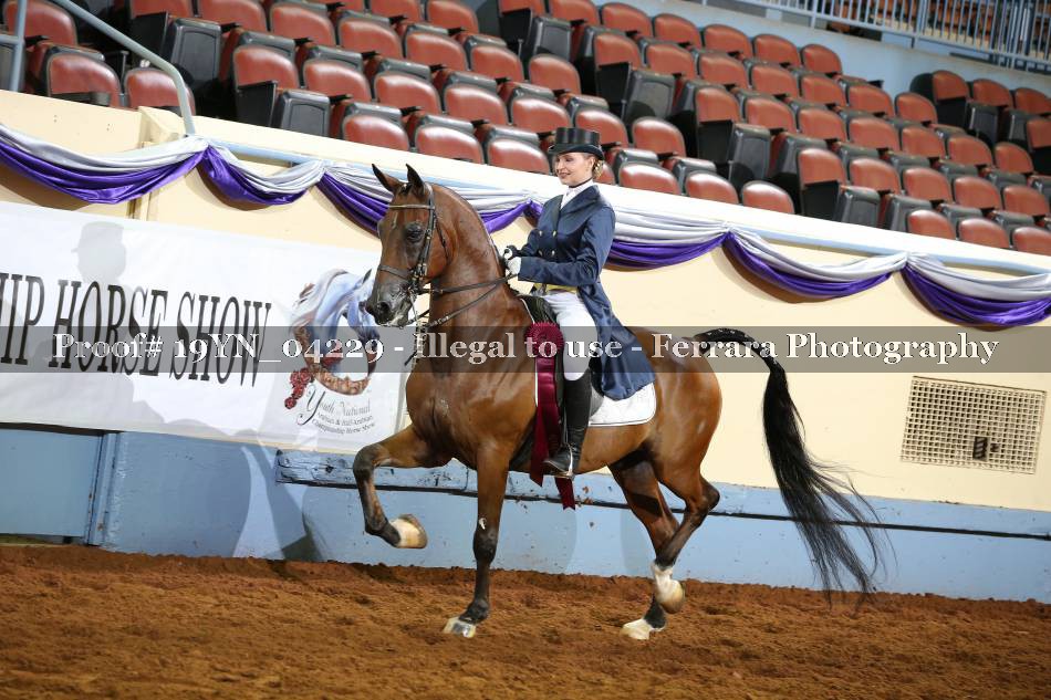 Proof 19YN_04229