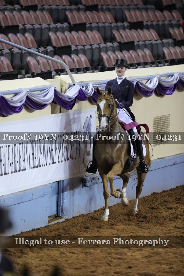 Proof 19YN_04231