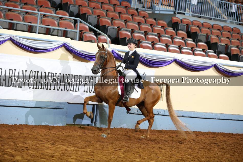 Proof 19YN_04234